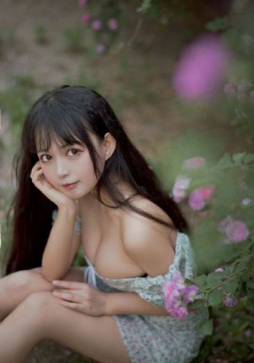 疯狂动物城电影免费观看中文