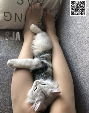 韩国电影精油按摩