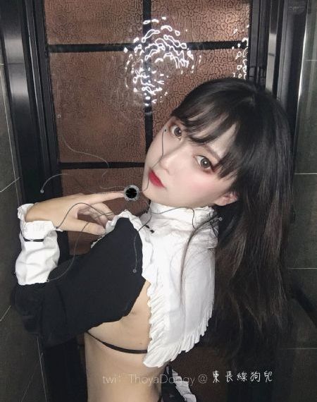 pr九妖狐狸