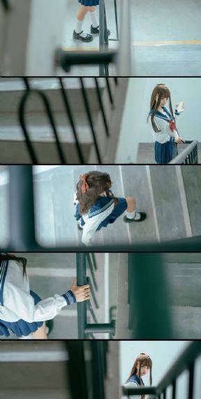 完美伴侣