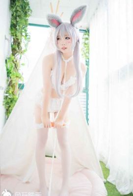 543部队全52集免费观看