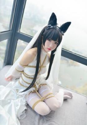 伊人网站在线观看