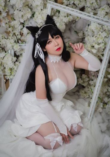 樱花动漫高清在线观看完整版